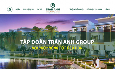 Thiết kế website - Trần Anh Group