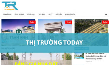 Thiết kế website - Thị Trường Today